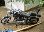 1992 Harley-Davidson FXSTC 1340 Softail Custom photo